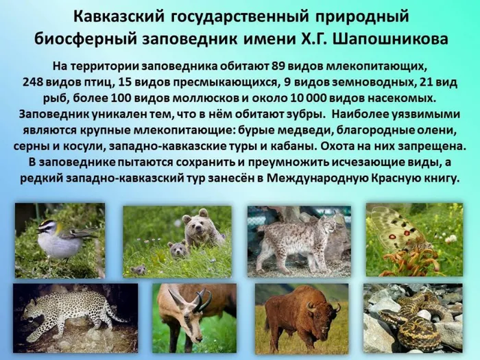 Слайд 6
