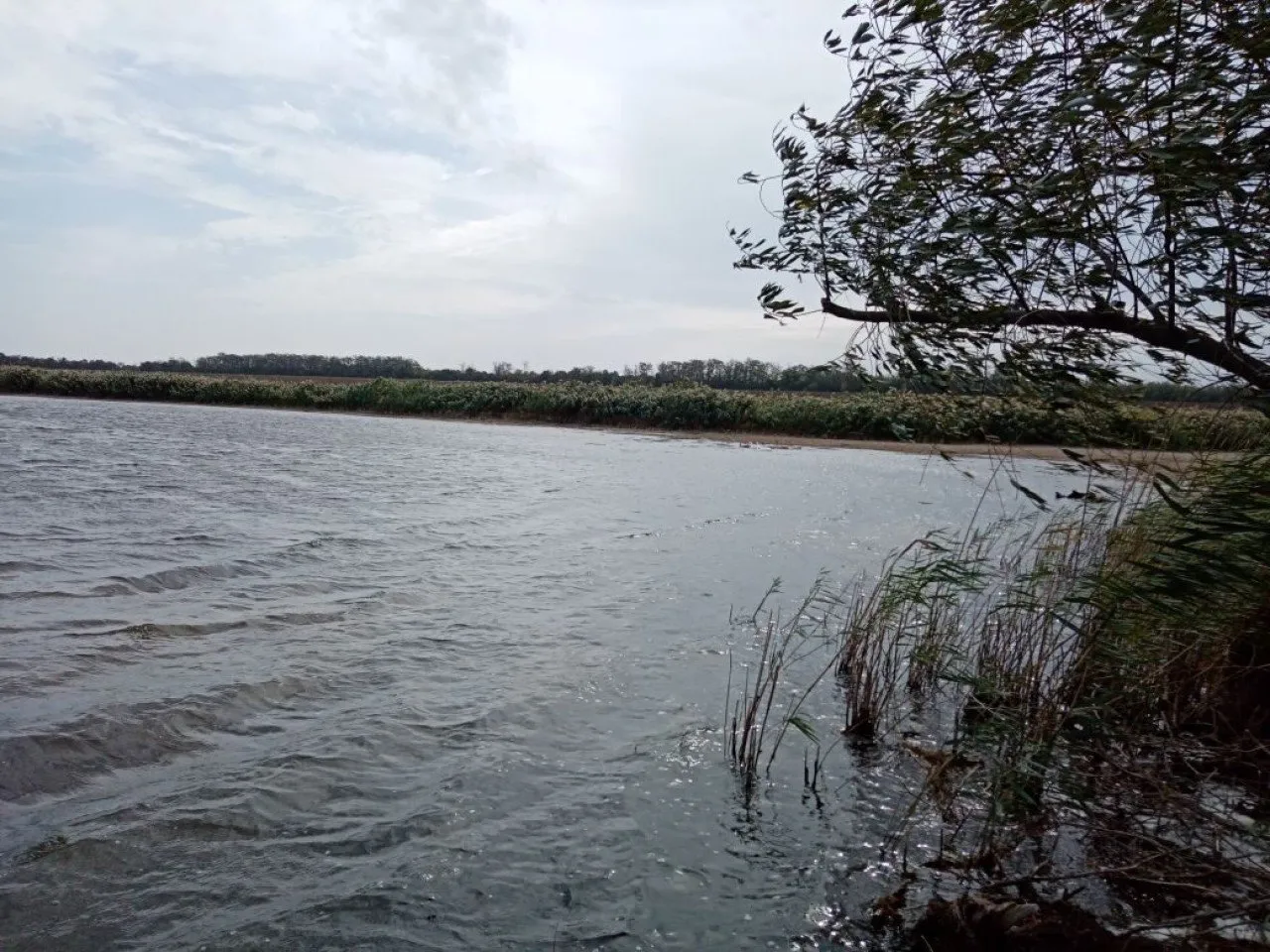image-2020-10-02 12_50_08