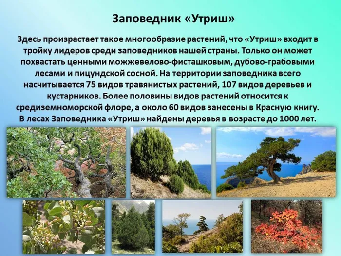 Слайд 9