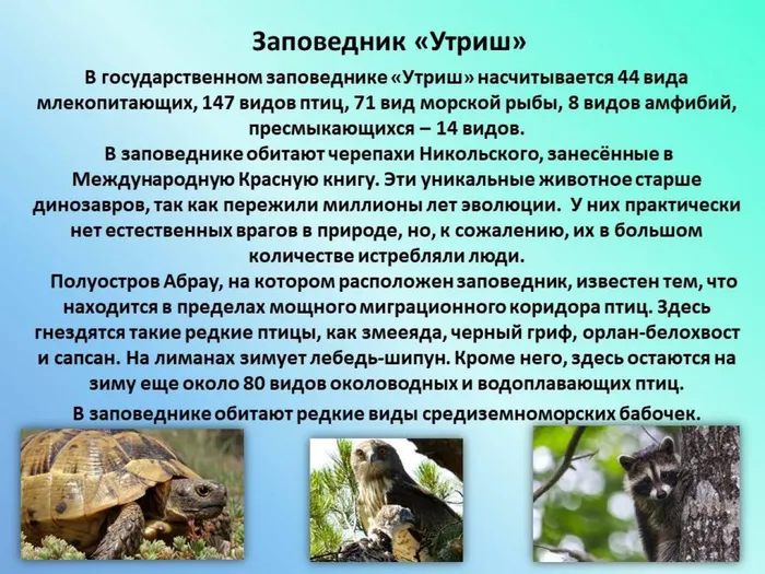 Слайд 10