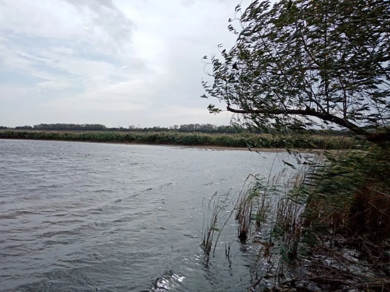 image-2020-10-02 12_49_31