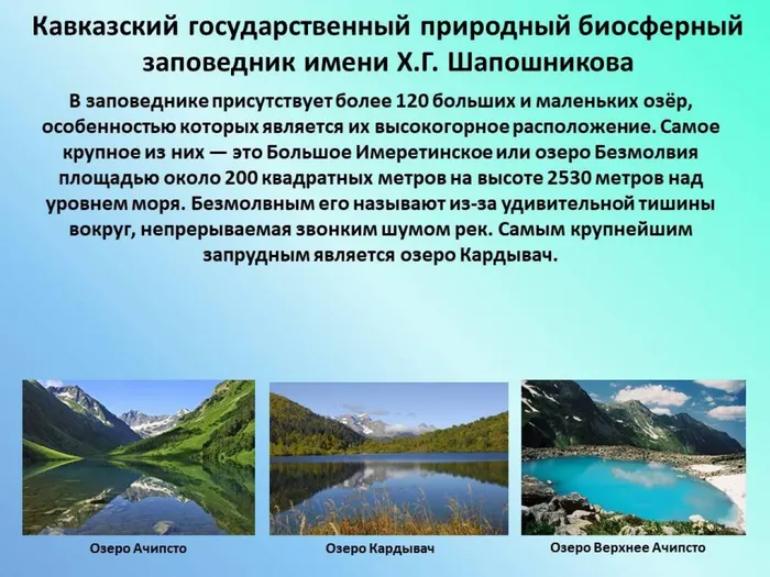 Слайд 7