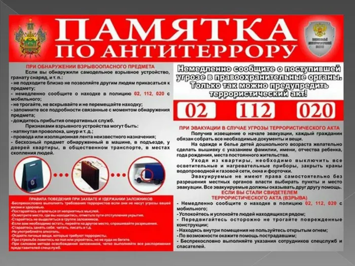 Слайд6