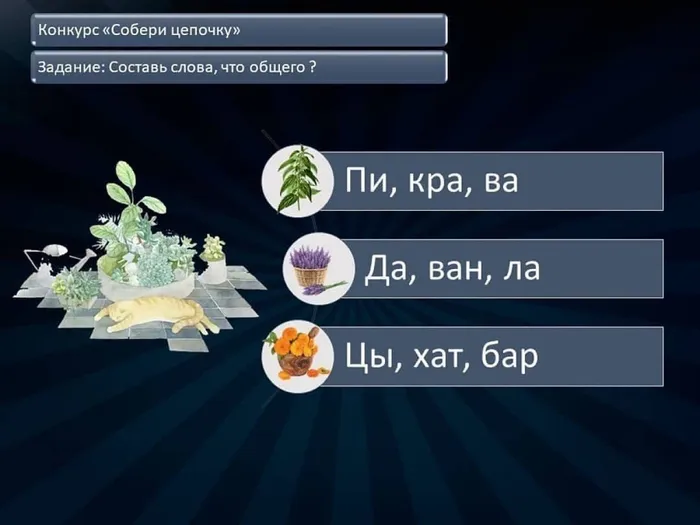 kultura_pavlovskaya_120178973_211569166980850_4555148814231975005_n