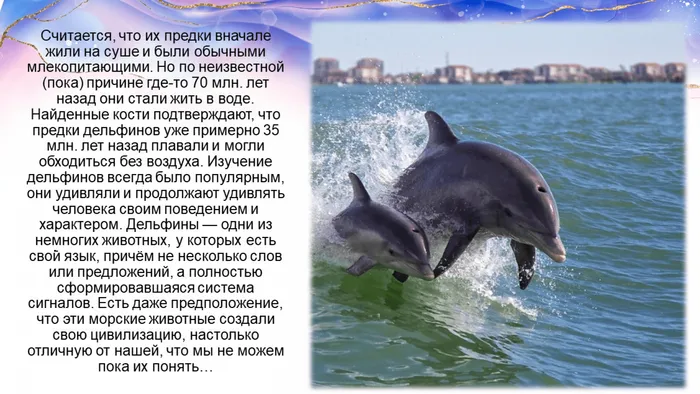 Слайд3. язые дельфинов