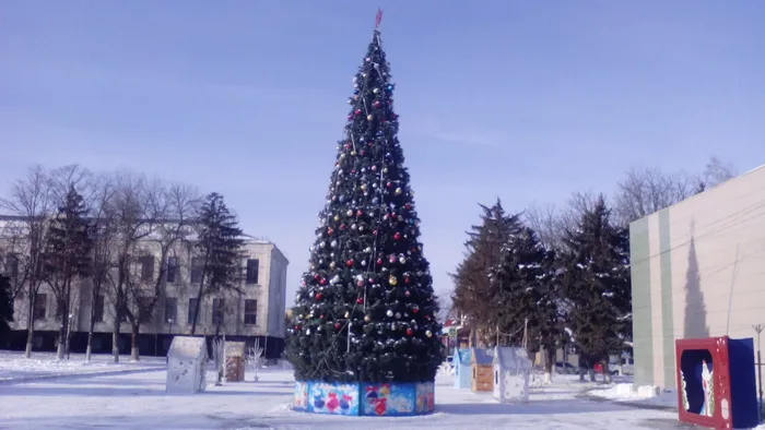 Павловская (3)